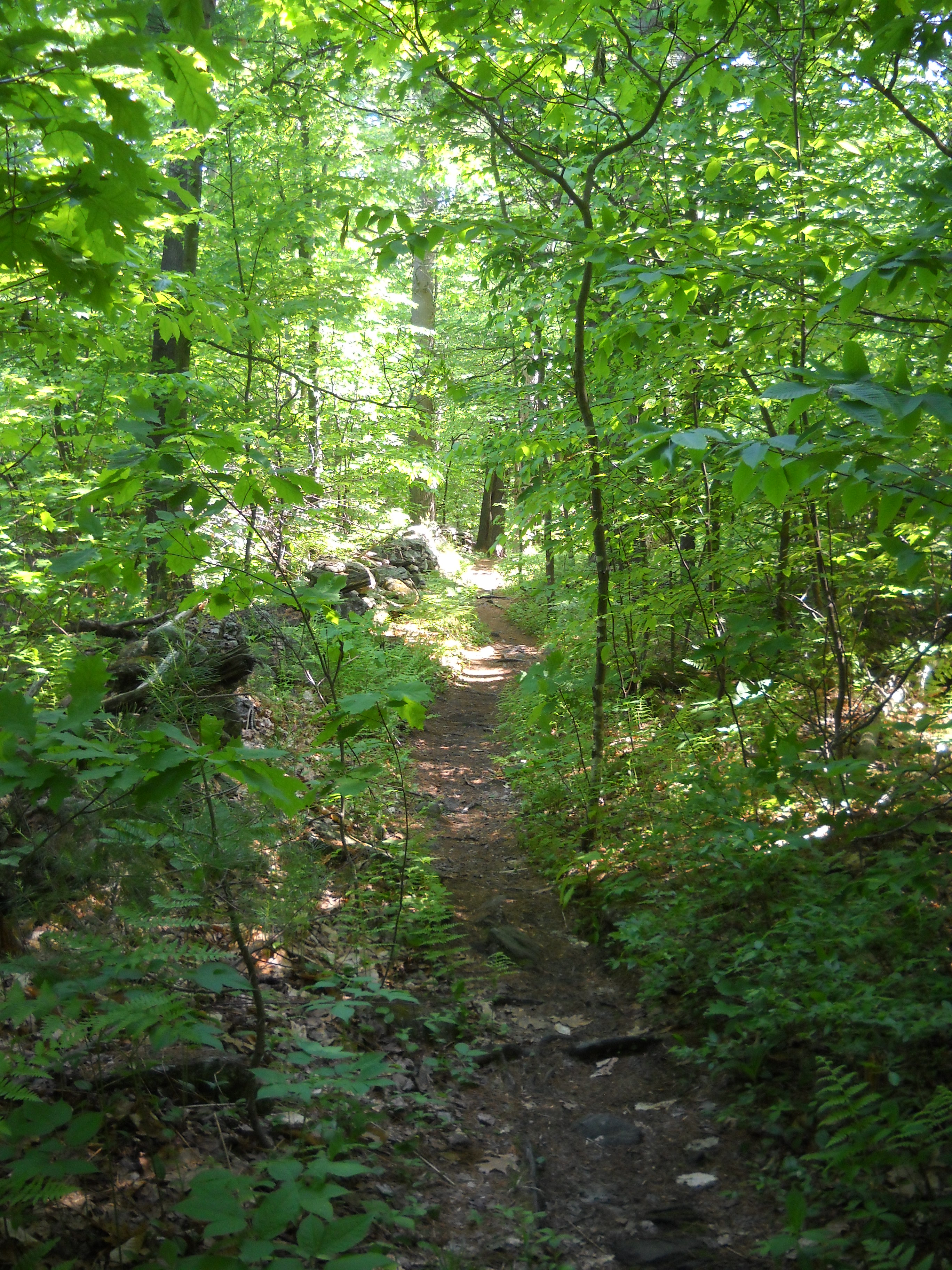 midstate trail 012
