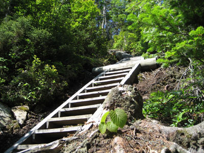 mtflumetrail-2007-0624a